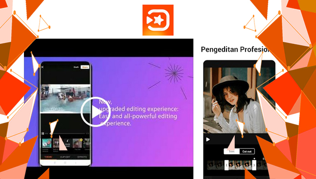 viva video pro