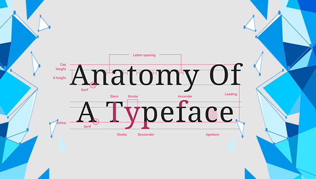 typhography